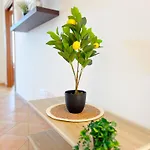 Appartement Residenza 