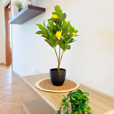 Apartamento Residenza 