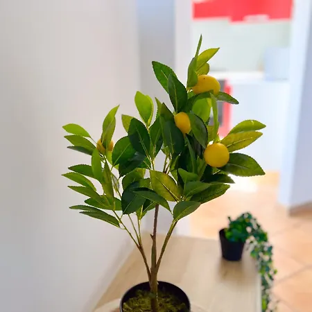 Apartamento Residenza 